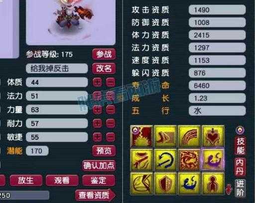 梦幻西游超级再生血宠怎么获得 再生 超级,再生