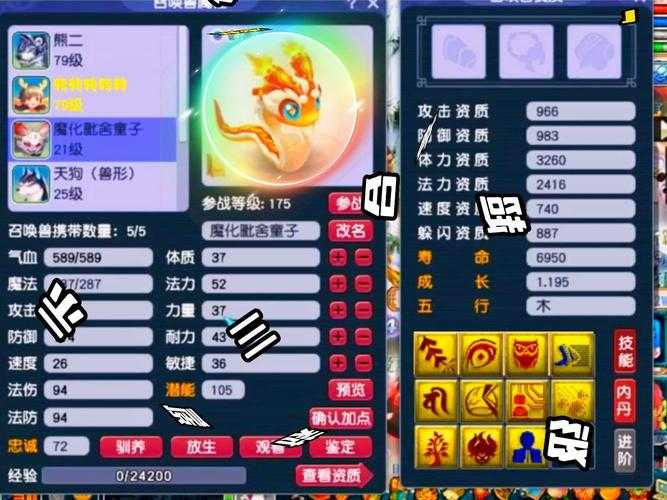 梦幻西游超级玩家有谁 超级玩家 那些，超级玩家