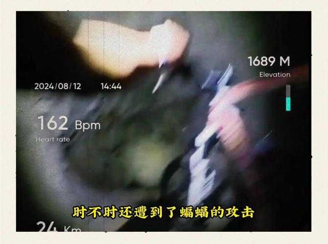 血色椰林，55岁骑行客独闯琼州万里的死亡之旅