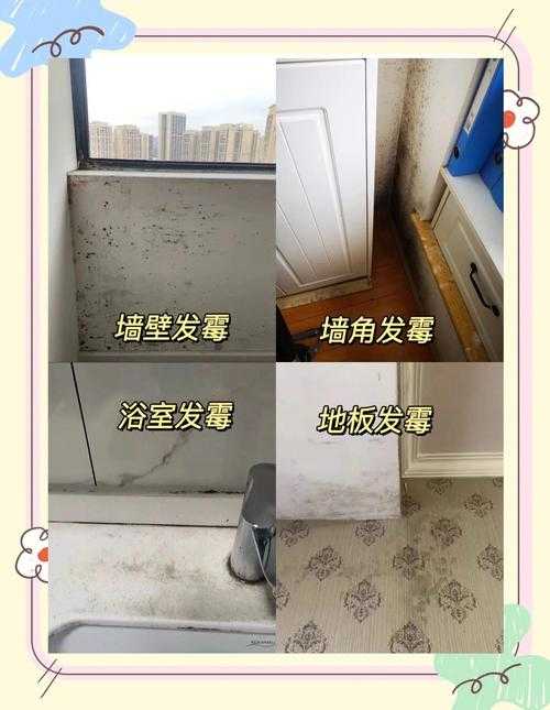 150平地下室装修发霉全攻略，如何彻底告别霉斑和异味？